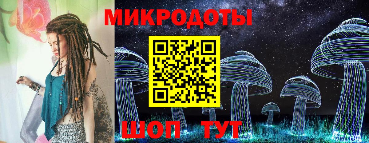 Галлюциногенные грибы Psilocybe Ирбит