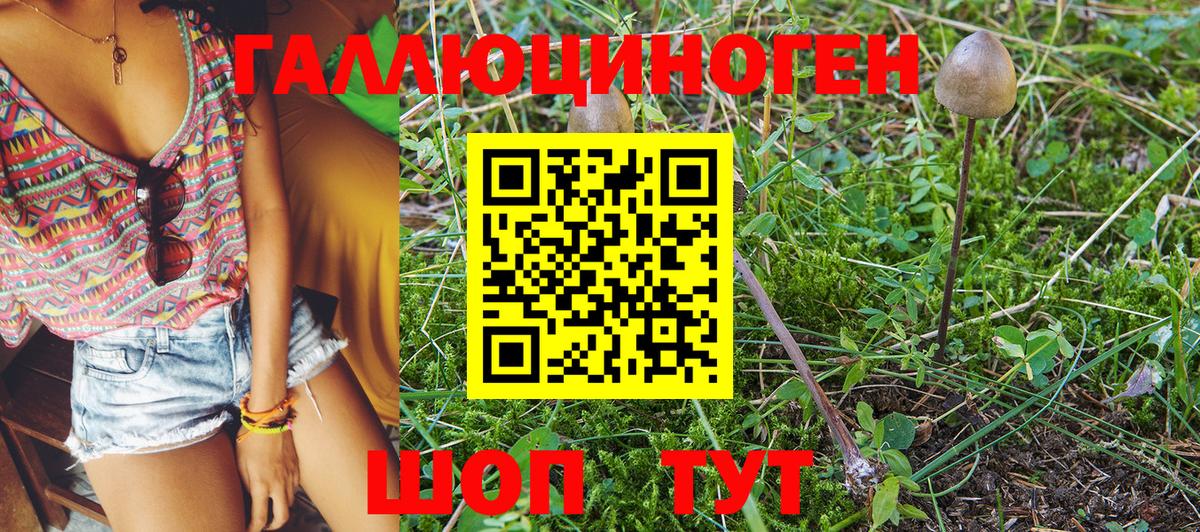 Галлюциногенные грибы Psilocybine cubensis  Вход с VPN  закладка  Ирбит 